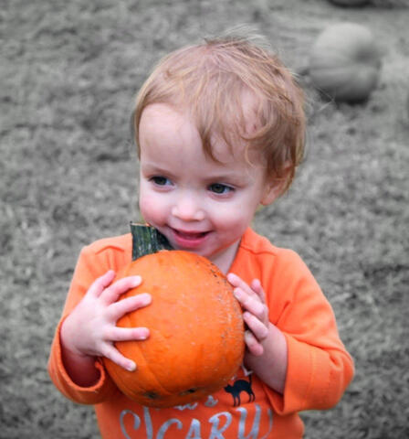 Pumpkin pickin'